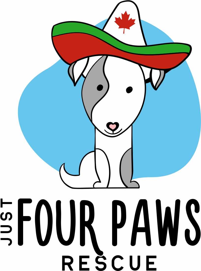 Just Four Paws Rescue